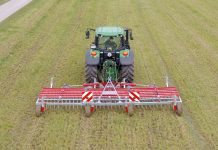 Ein Striegel mit besonderen Talenten