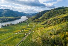 Lage trifft auf neue Rebsorten