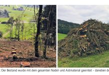 Wie man Biomasse im Bauernwald richtig nutzt