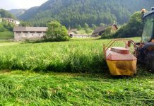 Jetzt ist es Zeit für die Wiesenreparatur