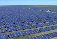 Petition: Stoppen wir den Photovoltaik-Flächenfraß