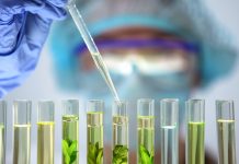 Rekordumsatz und Milliarden-Deal: Bayer gibt Teil vom Pestizide-Geschäft ab