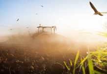 Allerorts ist es viel zu trocken