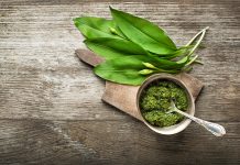 Heimisches Wildgemüse besitzt wahre Bärenkraft