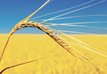 „Brauchen jeden Quadratmeter“