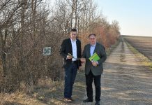 Windschutzflächen erhalten hochwertiges Ackerland
