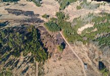 Extreme Trockenheit auch im heimischen Wald