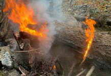 Brandgefährlicher Lage in Wald und Flur – trotz einsetzendem Regens jegliche Zündquellen vermeiden