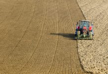 Schmiedtbauer: Wegen Ukraine-Krieg Ackerflächen für Anbau freigeben