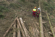 Waldfonds: Verlängerung bis 2025