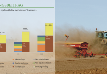 Frühjahrsanbau mit Fragezeichen