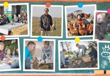 Bauernhof wird zum Klassenzimmer