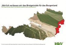 Hagelversicherung: Ohne Boden kein Essen