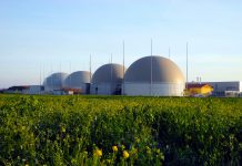 Biogas: Vom Stiefkind zum Hoffnungsträger