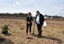 Waldlabore: Landesforstdienst forscht an „enkeltauglichen“ Baumarten