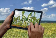 Digitale Zukunftsprojekte in Vorarlberg gefördert