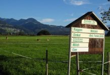 Bis Ende April Meldefrist für Nebentätigkeiten