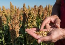 Alternativen mit Aussichten