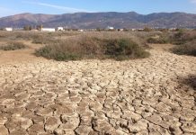 Schwerste Dürre in Marokko seit 40 Jahren Marokko Dürre