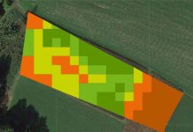 Weizen-Qualitätsdüngung: Das Fahnenblatt zeigt den Düngerbedarf an
