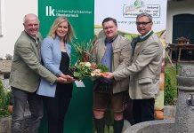 Gemüse: Starker Anfang, ungewisser Ausgang