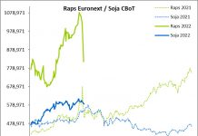 Terminmarkt International Mai ’22 – Raps unter Druck, Mais folgt dem Weizen