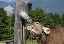 Die Qualität des Wassers ist der Landwirtschaft ein großes Anliegen
