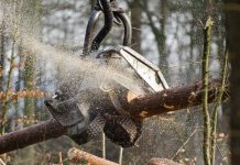 Mehr Einschlag, weniger Schadholz und höhere Preise beim Leitsortiment