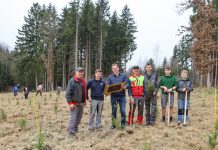 Schüler forsteten Wald mit 1600 Setzlingen auf