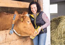 „Ich möchte aktiv mitgestalten“