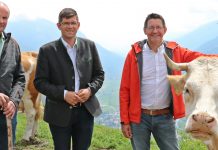 Nicht der Wolf ist vom Aussterben bedroht, sondern die Almwirtschaft