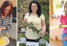 Die „Schatzkiste Natur“ hat viel Gutes zu bieten