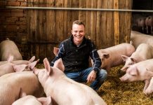 Rewe-Vorstand Haraszti fordert Ende des Vollspaltenbodens