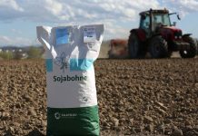 Saatgut Austria: Kauf von Originalsaatgut finanziert Sojazüchtung