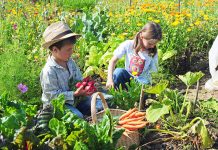 Grünes Klassenzimmer wird nun zur Realität
