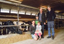 Kalb Rosé Austria – Produktion mit Potential