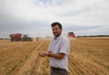 Mangel an Diesel lähmt Agrarwirtschaft in Argentinien