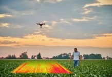 Innovative Betriebe prägen die junge Landwirtschaft im Land