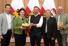 Erdäpfel: Billigpreis-Importe gefährden den künftigen Anbau