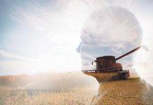 Bei Brotgetreide ist Österreich autark