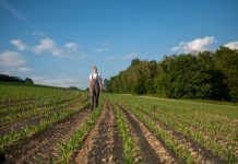 Höfesterben mit GAP nicht angemessen zu bewältigen