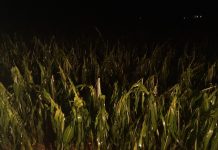 Heftiger Hagel verursachte 6,5 Millionen Euro Schaden