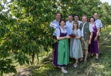 In der Scharten lässt es sich gut Kirschen essen