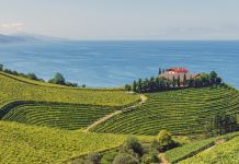 Einladung zur Jubiläumsreise nach Nord-Spanien Weinreise Nordspanien