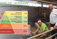 Klare Ansage: „Wir lassen uns die Schweinehaltung nicht schlechtreden“