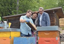 Spannungsfeld Imker und Landwirte: OÖ ist bereits auf einem guten Weg