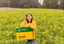 Saatbau: Premiumzwischenfrüchte