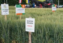 Besuch bei Capo und seiner Familie