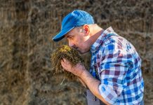 Entscheidungshilfe zur Wahl des Siliermittels