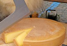 Petschar: Exporte stützen heimischen Milchmarkt